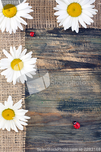 Image of Ladybug and daisy on the tape of burlap.