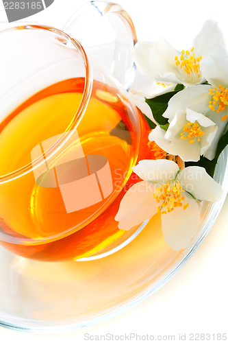 Image of Jasmine tea.