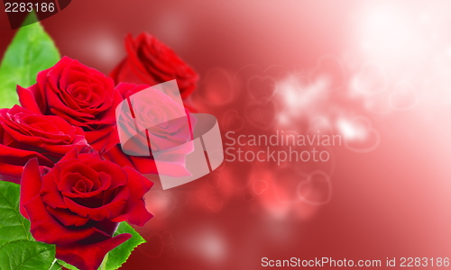 Image of Bouquet of red roses.