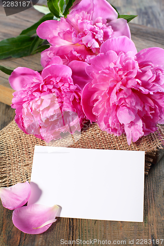 Image of Three pink peony and card.