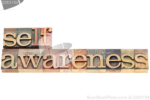 Image of self-awareness word in wood type