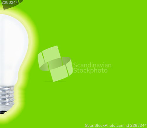 Image of White bulb