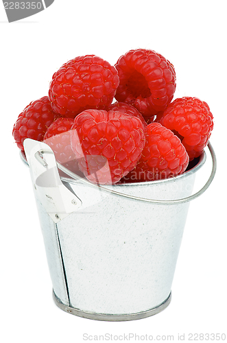 Image of Raspberries in Bucket