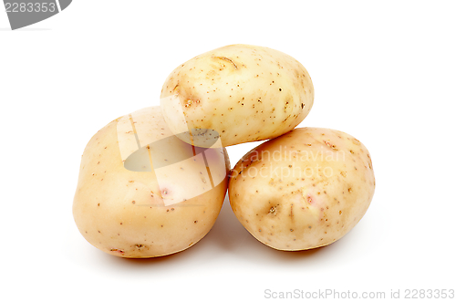 Image of Raw Potato