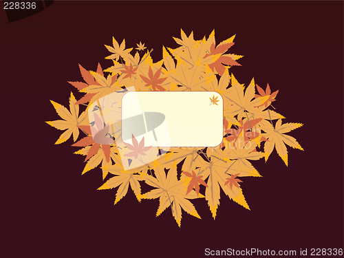 Image of leaf note brown