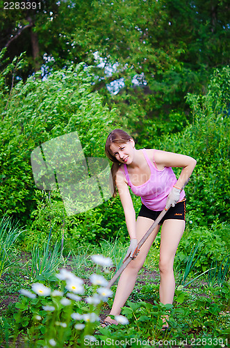 Image of gardening