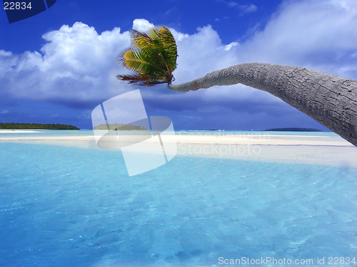 Image of Bending Palm Lagoon