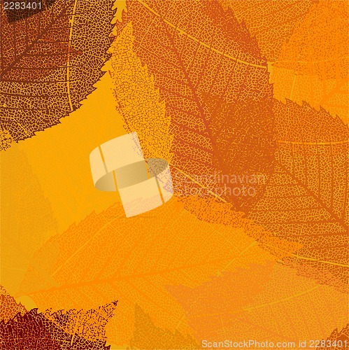 Image of Dry autumn leaves template. EPS 8