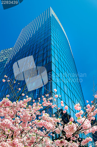 Image of Modern architecture in the business district of La Defense, Pari