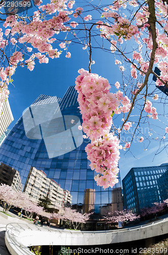 Image of Modern architecture in the business district of La Defense, Pari