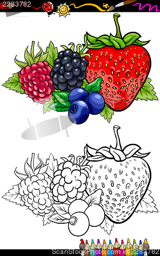 Image of berry fruits illustration for coloring book