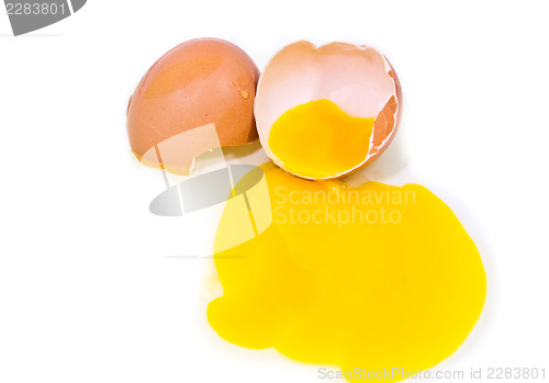 Image of Egg