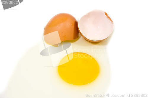 Image of Egg