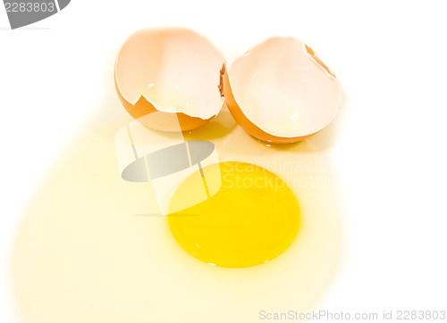 Image of Egg