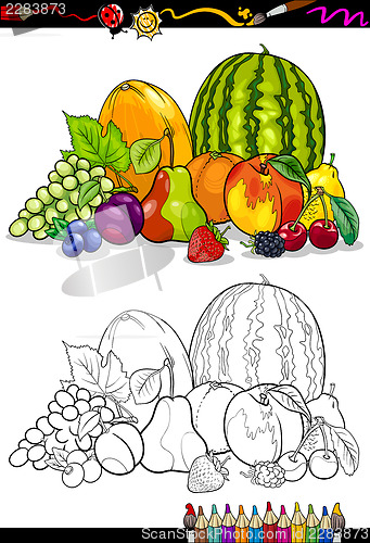 Image of fruits group illustration for coloring book