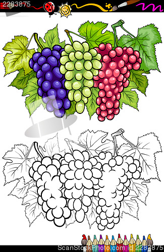 Image of grapes fruits illustration for coloring book