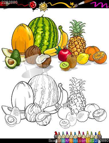 Image of tropical fruits group for coloring book
