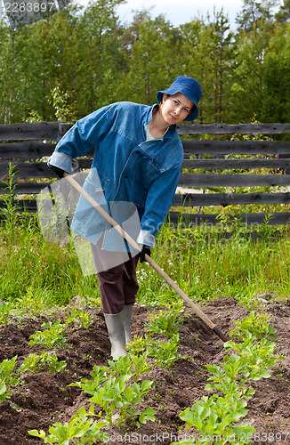 Image of Girl spud potatoes in the garden