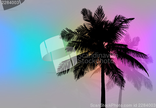 Image of Palm Trees Sunset Retro