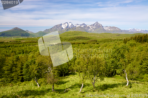 Image of Summer in Norway