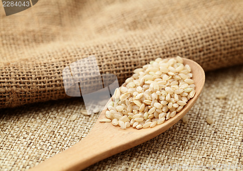 Image of Uncooked rice on spoon 