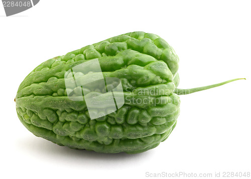 Image of Bitter melon on white background