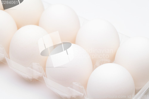 Image of White egg in plastic container