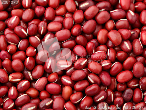 Image of Adzuki Red Bean close up