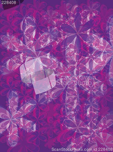 Image of petal purple