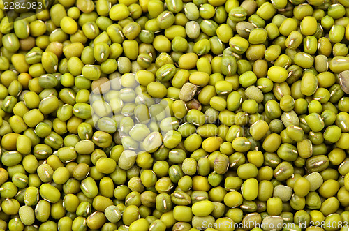Image of Mung bean background
