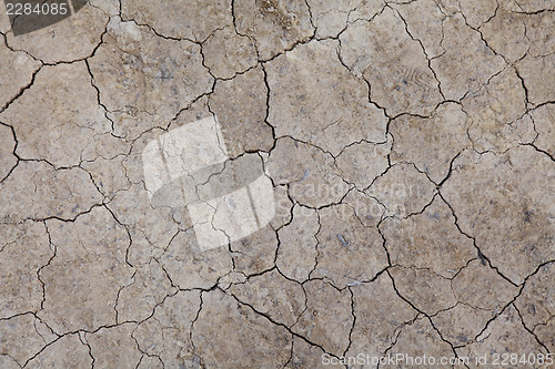 Image of Dried crack land 