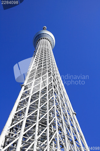 Image of Skytree tower in Tokyo