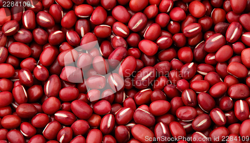 Image of Adzuki Red Bean