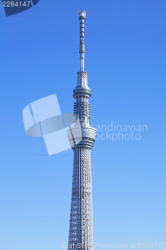 Image of Tokyo skytree