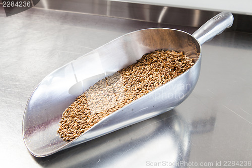 Image of Beer Malt