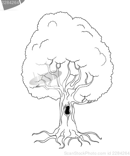 Image of Coloring book tree
