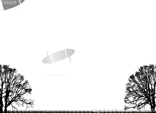 Image of plain trees