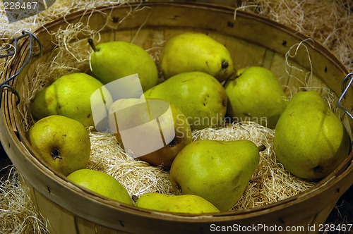 Image of Pears on basket