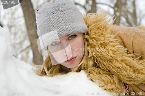 Image of Cutie in the snow