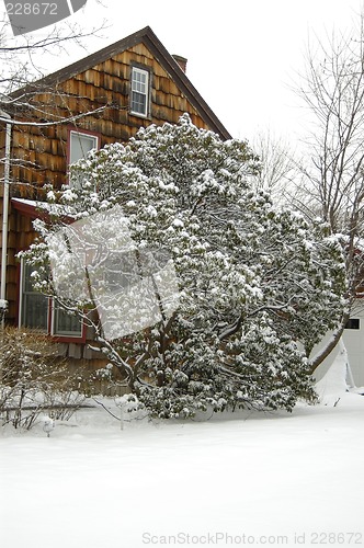 Image of After snow