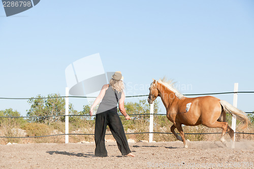 Image of young woman training horse outside in summer