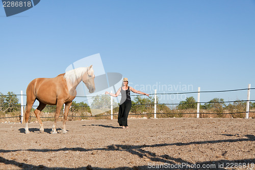 Image of young woman training horse outside in summer