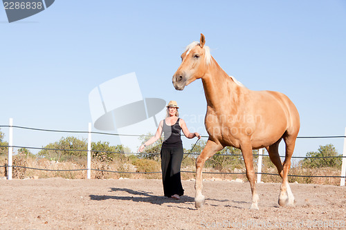 Image of young woman training horse outside in summer