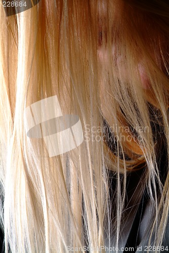 Image of blond hair