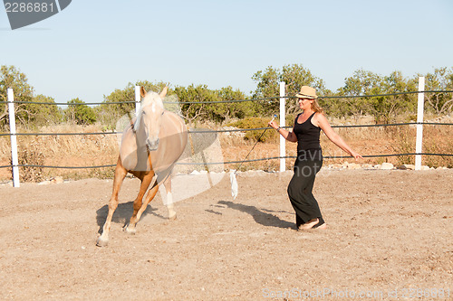 Image of young woman training horse outside in summer