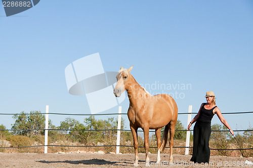 Image of young woman training horse outside in summer