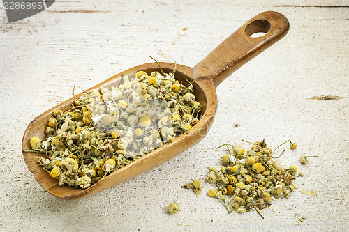 Image of scoop of chamomile herb tea