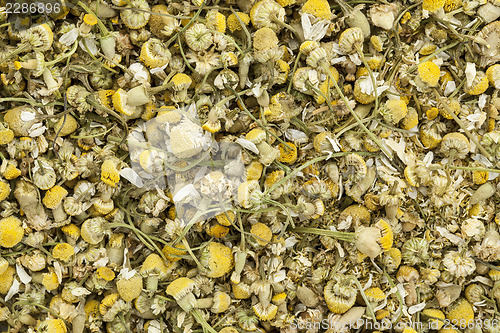 Image of organnic chamonile herb tea