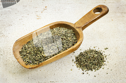 Image of scoop of peppermint tea
