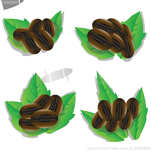 Image of set of coffee beans